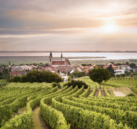 ried plachen rust leithaberg burgenland