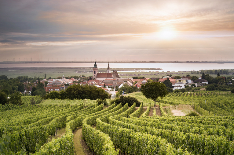 ried plachen rust leithaberg burgenland