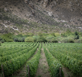 salta