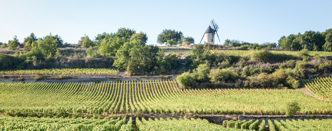 santenay
