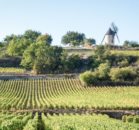 santenay