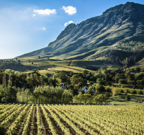 suedafrika stellenbosch 2000x1200
