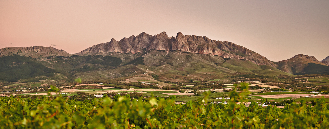suedafrika wellington 2000x750 lp