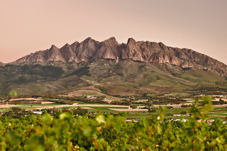 suedafrika wellington 2000x750 lp