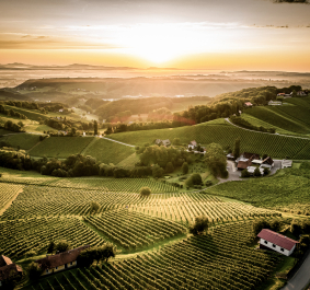 suedsteiermark