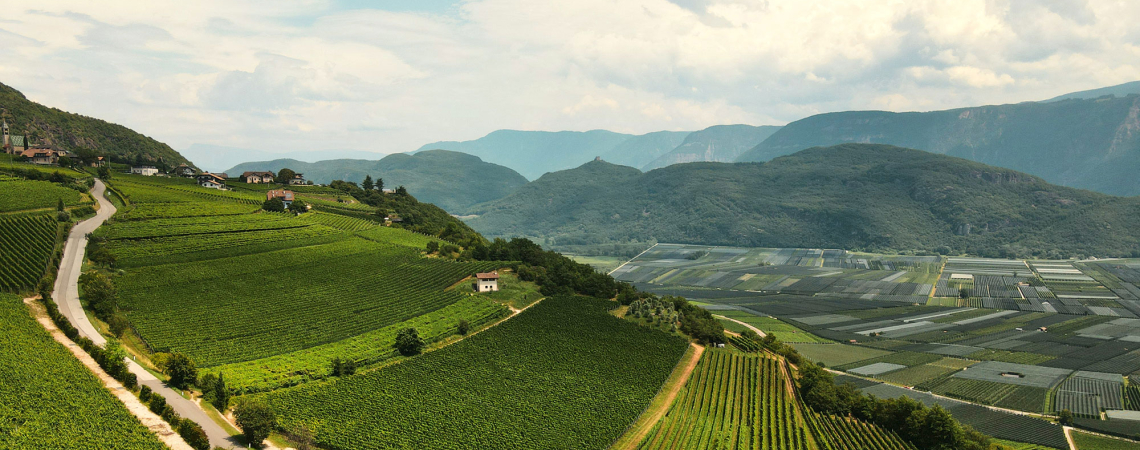 suedtirol tramin 2022 header