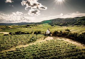thermenregion gumpoldskirchen mandelhoh herbst