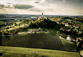Hügelige Landschaft mit Weinbergen und Dorfkirche, unter bewölktem Himmel.
