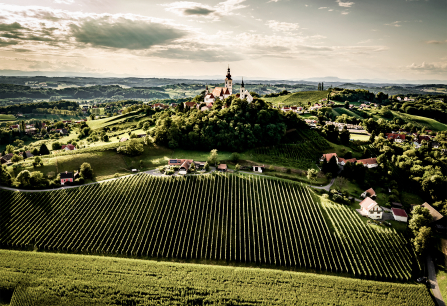 Hügelige Landschaft mit Weinbergen und Dorfkirche, unter bewölktem Himmel.