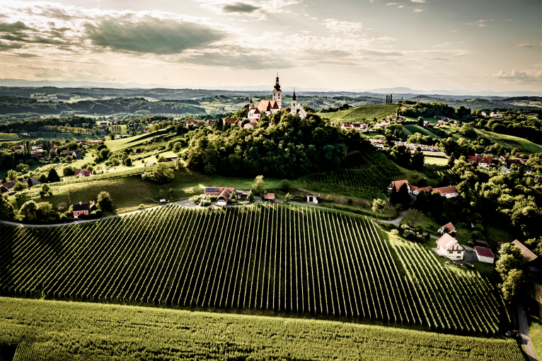 Hügelige Landschaft mit Weinbergen und Dorfkirche, unter bewölktem Himmel.