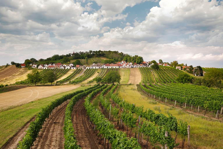 weinviertel galgenberg