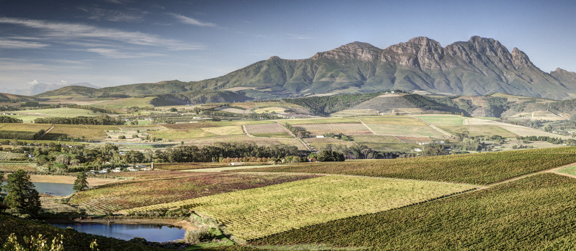 02 2023 Suedafrika Header