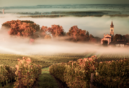 Bordeaux 2000x1000