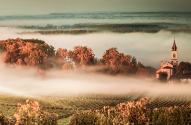Bordeaux 2000x850
