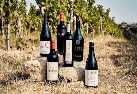 Burgenland header 2024