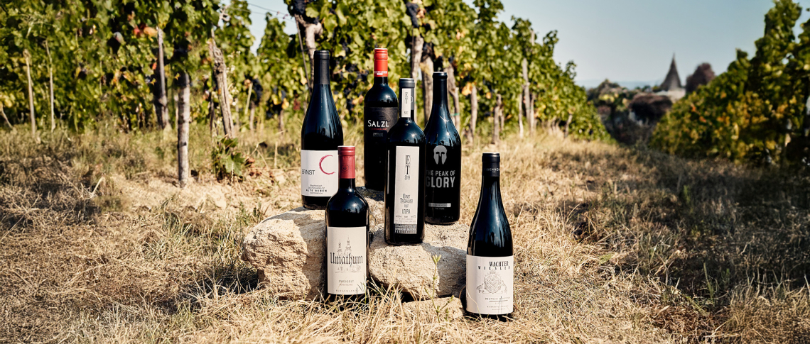Burgenland header 2024