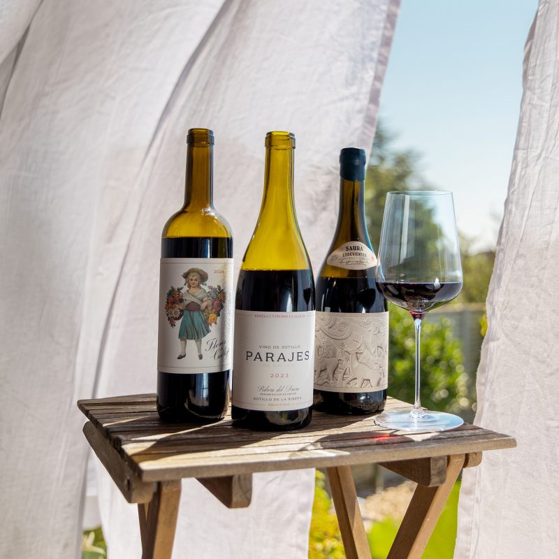 Das neue Spanien Bodega Callejo Bodegas Saura