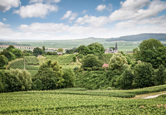 Grosse Champagner Impressionen 3