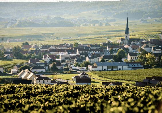Grosse Champagner Impressionen 4