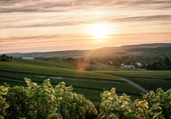 Grosse Champagner Impressionen 8