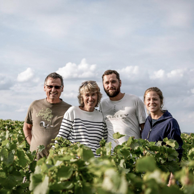 Vier lächelnde Personen stehen mitten in einem grünen Weinberg unter blauem Himmel.