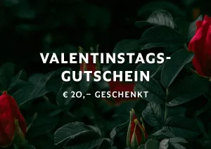 Rote Rosen mit dunklen Blättern vor schwarzem Hintergrund.