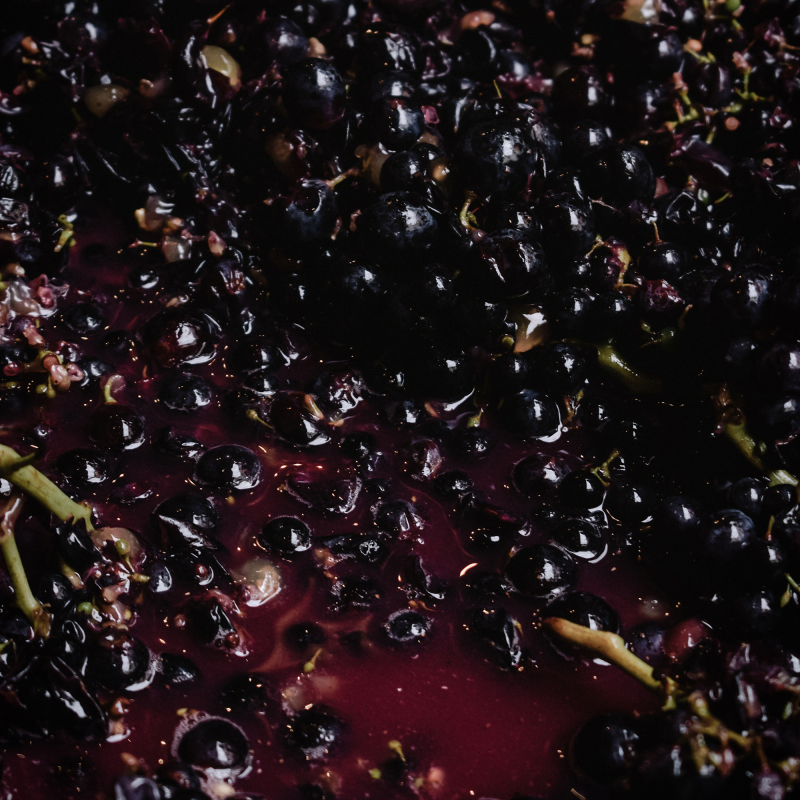 Natural Wine Maische 2