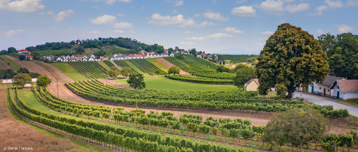 OeWM WSNA noe weinviertel wildenduernbach ried galgenberg