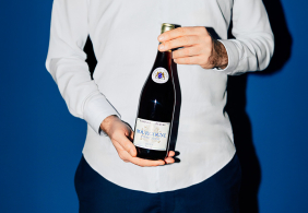 Pinot noir simonnet febvre