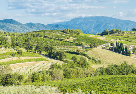 Rhone Perrin picture Vinsobres ©Philippe Martineau