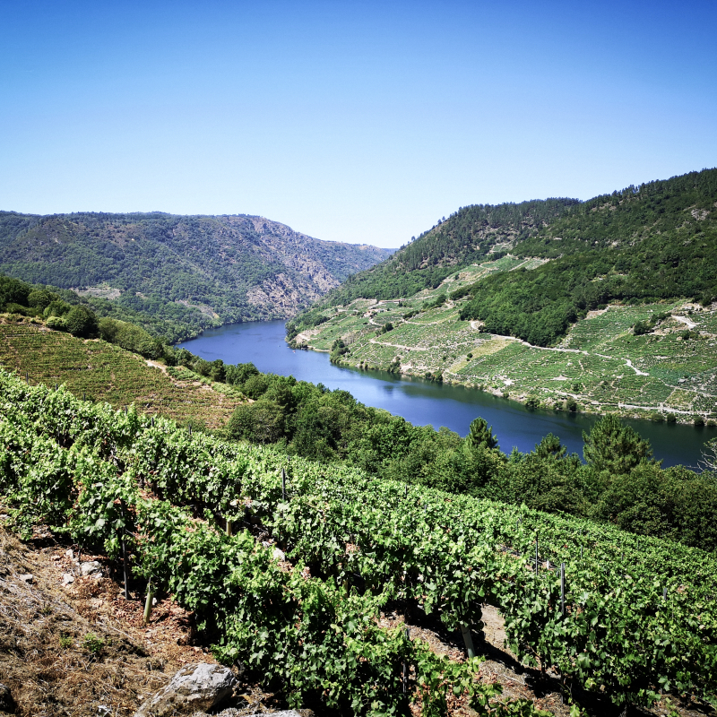 Ribeira Sacra Landscape