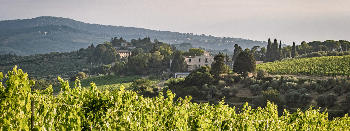 Sangiovese Villa Antinori