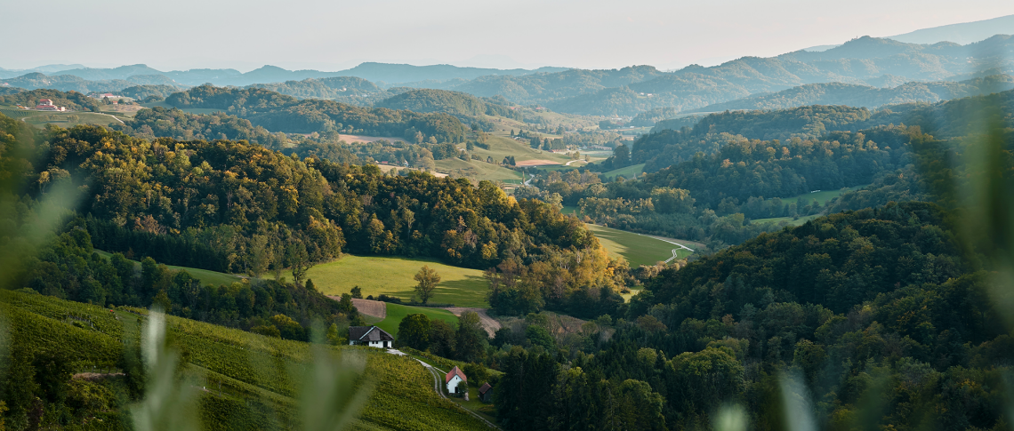 Steiermark Herkunftscharakter als oberstes Ziel Nov22