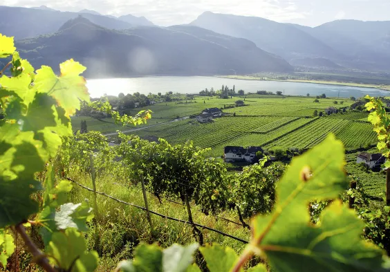 Suedtirol Kalterer See (c)Gianni Bodini