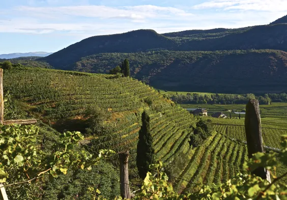 Suedtirol Roemigberg (c)Gianni Bodini