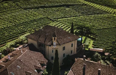 Historisches Gebäude umgeben von malerischen Weinbergen im Sonnenlicht.