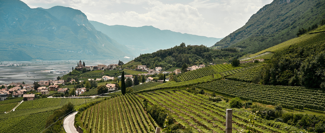 SuedtirolUndTrentino3