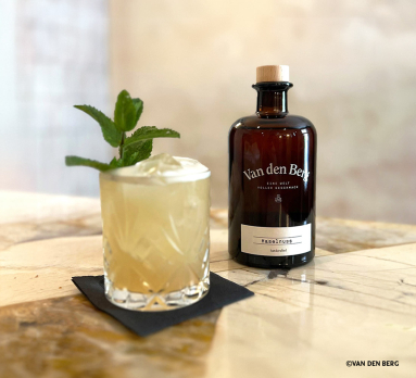 VanDenBerg cocktail web