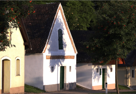 Weinviertel (1)