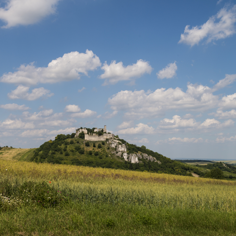Weinviertel (3)