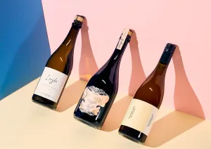 Drei Weinflaschen vor blau-rosa Hintergrund, moderner Schattenwurf.