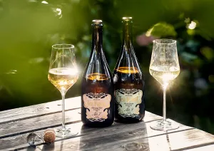 Zwei Weinflaschen und Gläser auf Holztisch unter strahlendem Sonnenlicht im Garten.