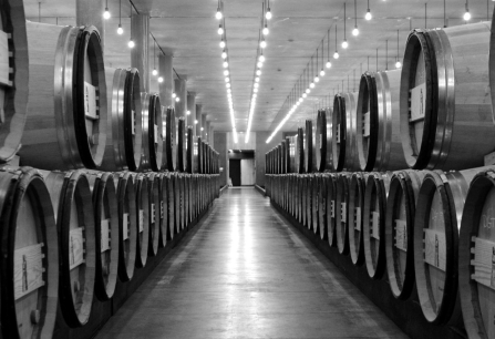bordeaux 2019 Faesser