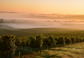 bordeaux sonnenaufgang
