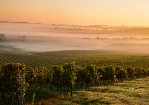bordeaux sonnenaufgang