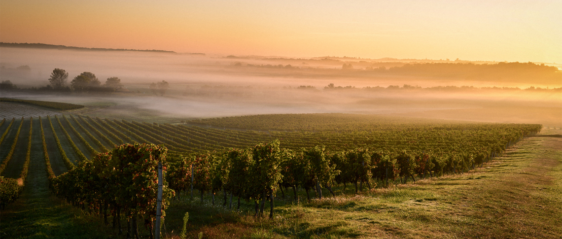 bordeaux sonnenaufgang