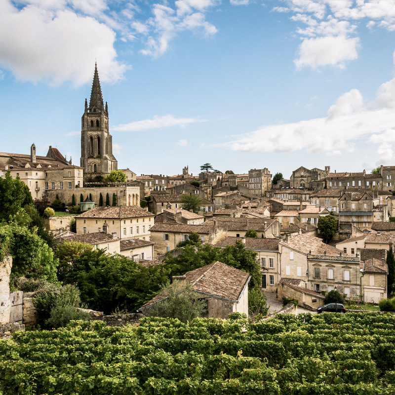 bordeaux teaser