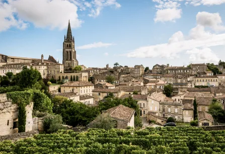 bordeaux teaser