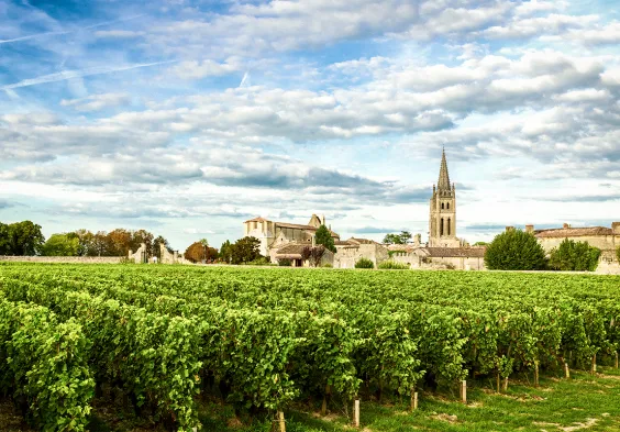 bordeaux1