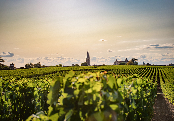 bordeaux2